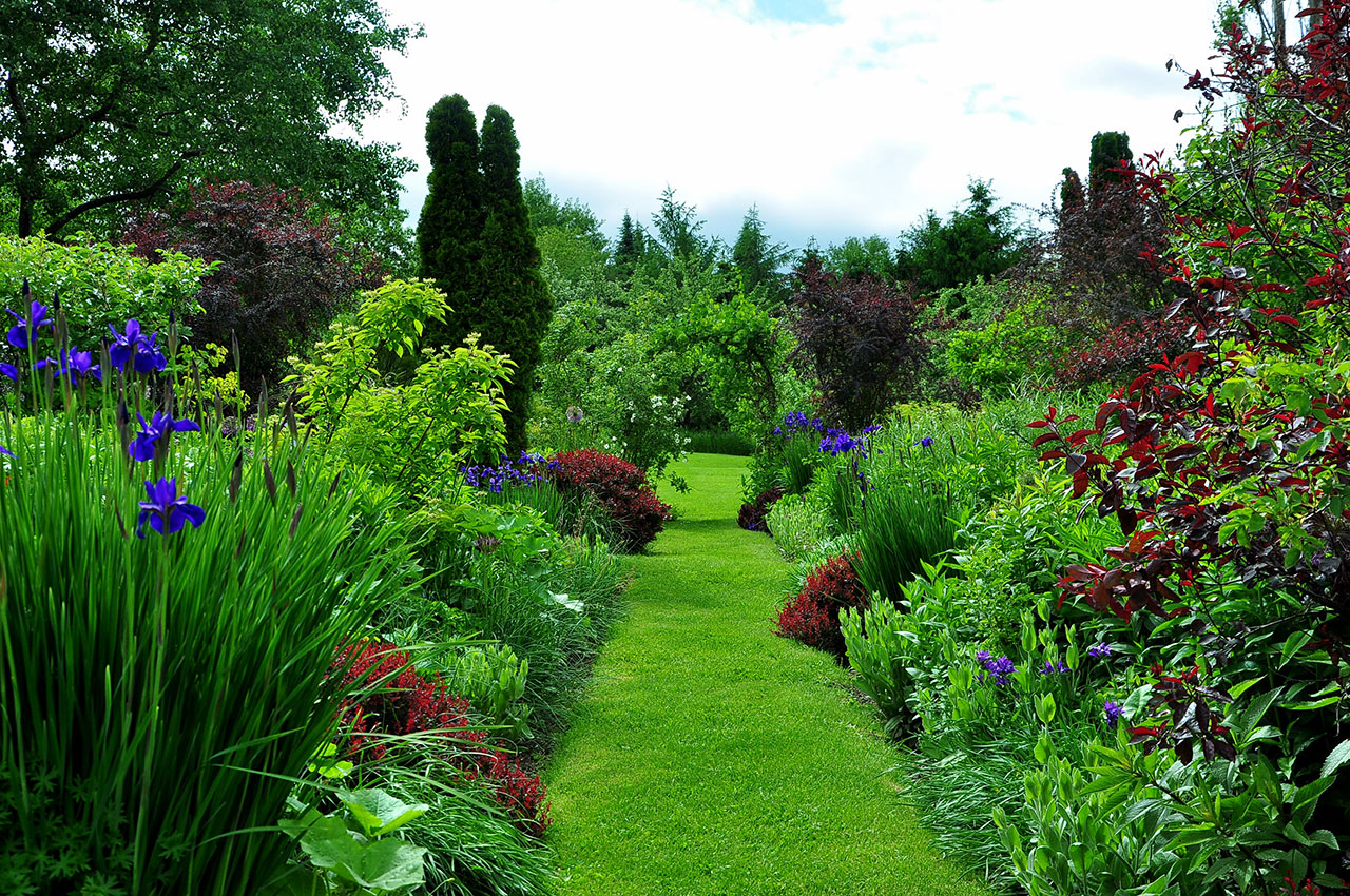 Bill15resized Bill Noble Gardens